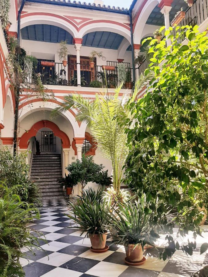 Downtown Loft In A 16Th Century Convent Apartment Seville Exterior photo